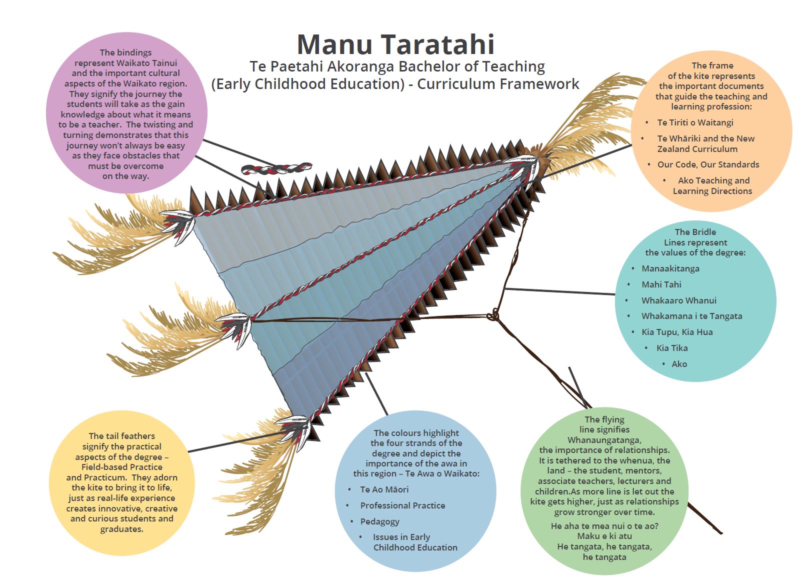 The framework for Te Paetahi Akoranga Bachelor of Teaching at Wintec